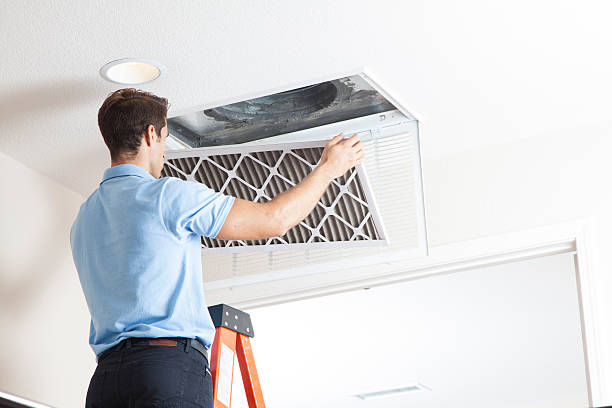 Best HVAC Cleaning Services  in Palmetto Bay, FL